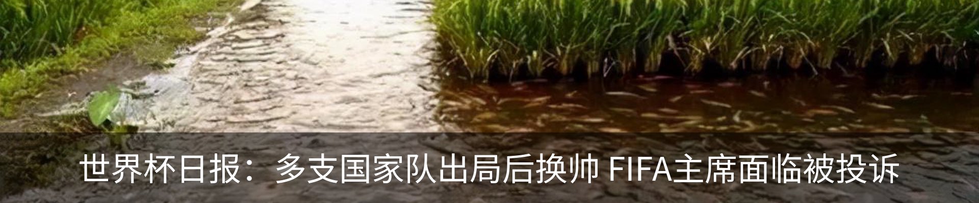 热点资讯