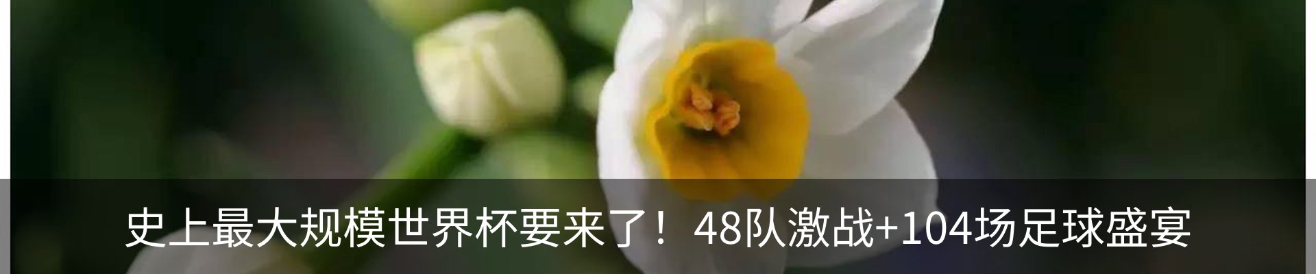 热点资讯